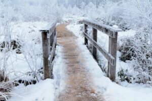 Sneeuwbedekt pad over een klein bruggetje, passend bij goede voornemens werkelijk beginnen in een winterse omgeving.
